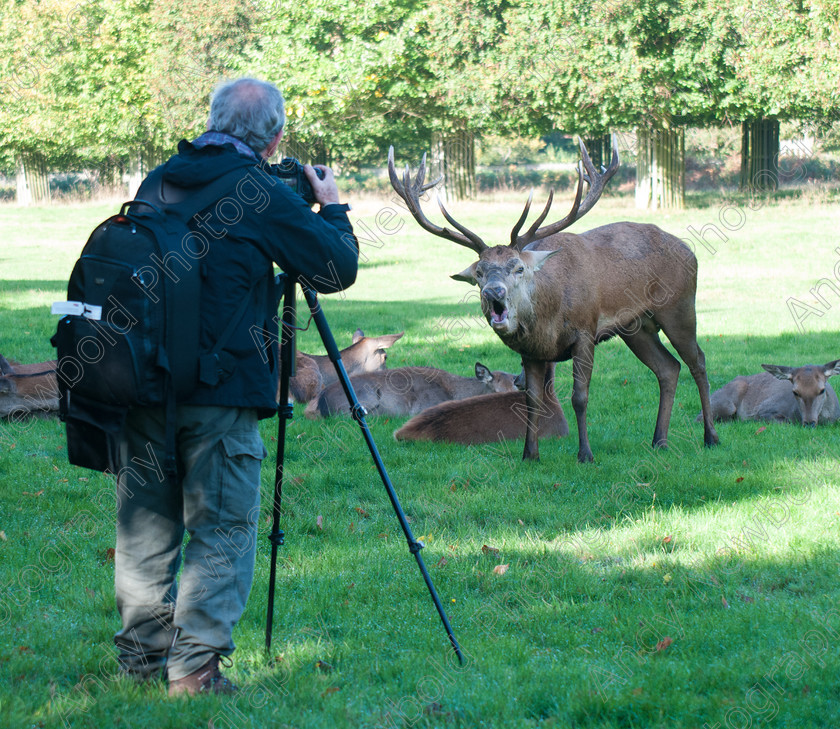 ANP13-1805-060 
 copyright Andy Newbold 2013