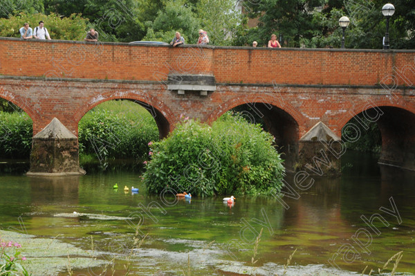 ANP09-890-20 
 All images copyright Andy Newbold 2009 
 Keywords: leatherhead duck race, river mole, councillor Tim Hall,