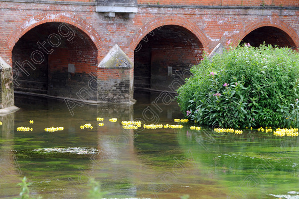 ANP09-890-57 
 All images copyright Andy Newbold 2009 
 Keywords: leatherhead duck race, river mole, councillor Tim Hall,