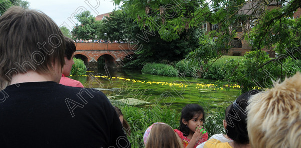 ANP09-890-59 
 All images copyright Andy Newbold 2009 
 Keywords: leatherhead duck race, river mole, councillor Tim Hall,